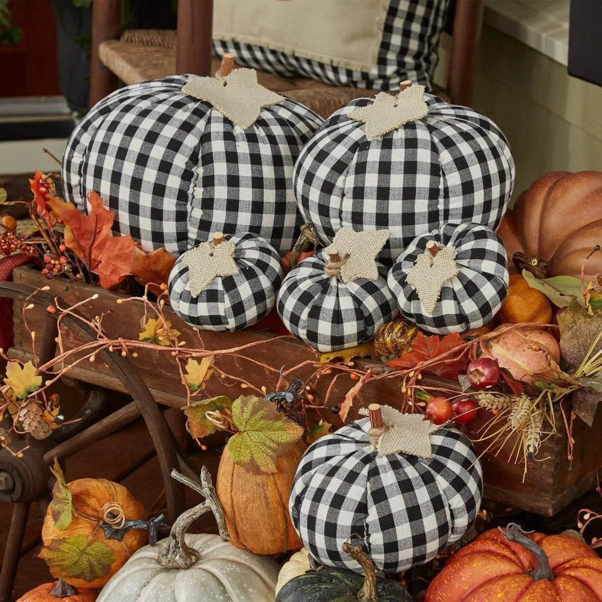 Mini Black & Cream Check Pumpkin Set